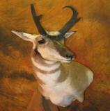 images/africa_game/taxidermy_08.jpg